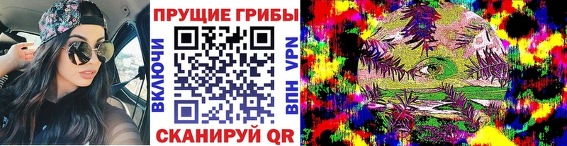 наркошоп  Симферополь  Псилоцибиновые грибы Cubensis 