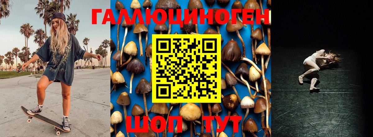 Псилоцибиновые грибы мицелий Симферополь