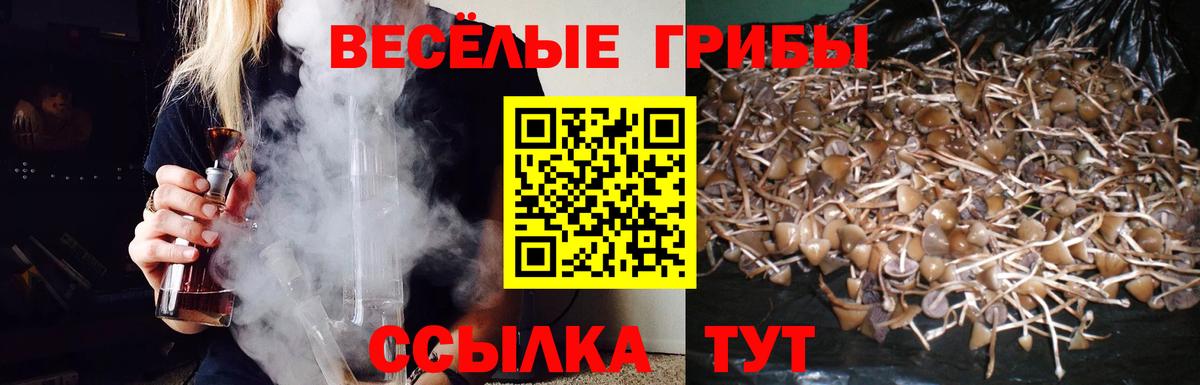 Галлюциногенные грибы прущие грибы  закладки  Галлюциногенные грибы мицелий  Симферополь  Вход с VPN 