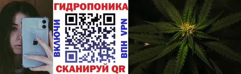 Шишки марихуана планчик  Симферополь 